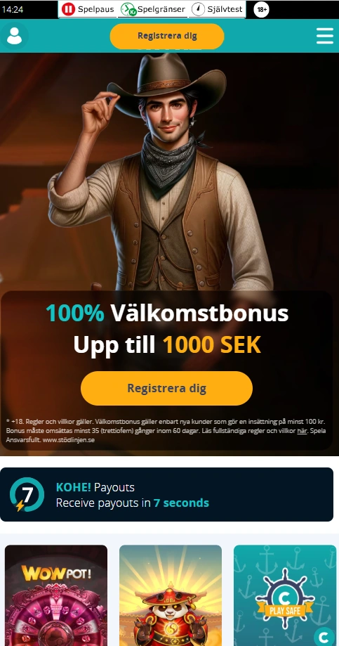 chanz mobile home page